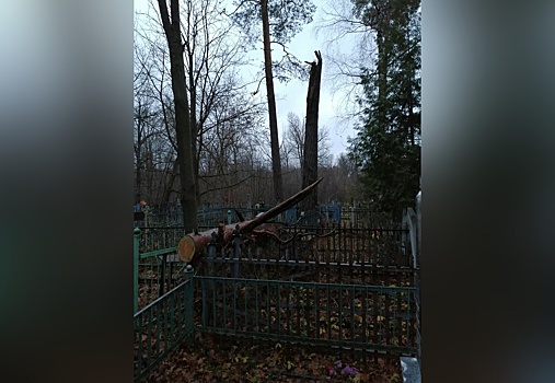 Поваленные деревья разрушили надгробия и ограды на кладбище в поселке Желнино