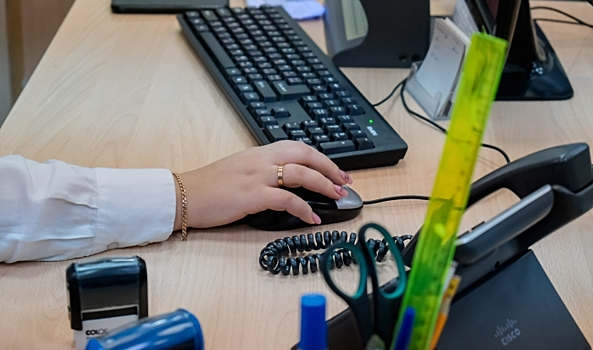 Жителям Волгоградской области дали советы по поиску работы в интернете