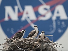 NASA призвали отказаться от работы с Россией