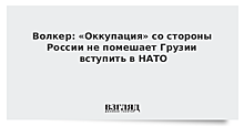 Волкер: «Оккупация» со стороны России не помешает Грузии вступить в НАТО