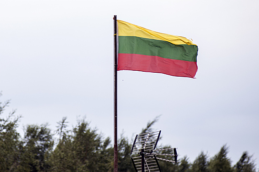 МИД Литвы высказался об открытии границы с Белоруссией