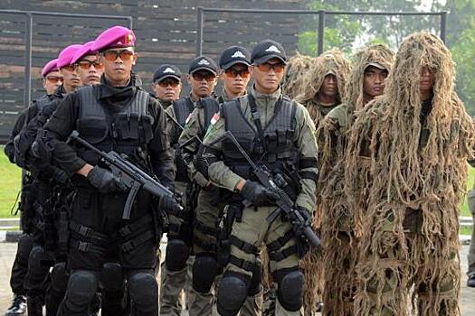 В Индонезии военным разрешили стрелять в поджигателей лесов без предупреждения
