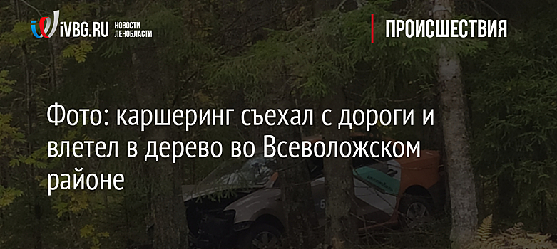 Фото: каршеринг съехал с дороги и влетел в дерево во Всеволожском районе