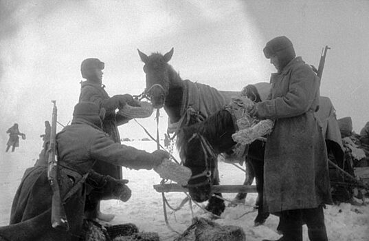 Зачем советские солдаты скармливали немецкую трофейную обувь лошадям
