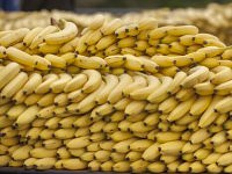 Четыре самых важных полезных свойства бананов