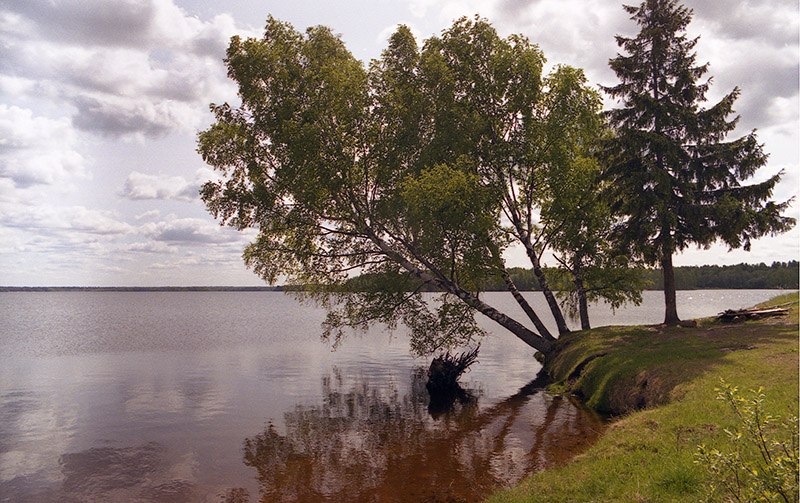 Валдайский национальный парк, Новгородская область, Россия, Европа