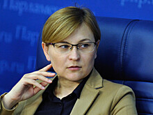 Бокова: соглашение с Таджикистаном по организованному набору работников сенаторы рассмотрят до конца года