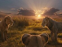 Сборы фильма "Муфаса: Король Лев" превысили 500 млн долларов