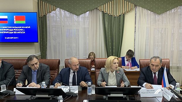 В Госдуме выступили за еще одно направление в сотрудничестве с Беларусью
