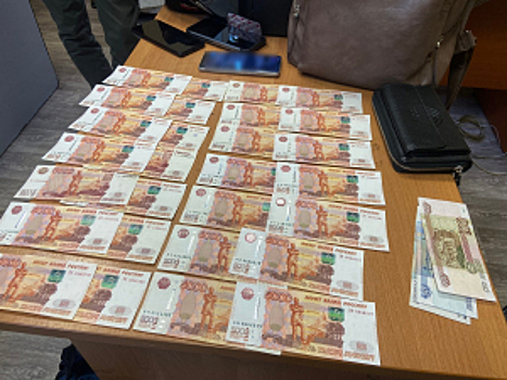 На Камчатке полицейскими задержан курьер аферистов, забравший у пяти пенсионеров более 1 млн рублей