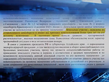 Алтайские фермеры невольно засеяли чужую землю