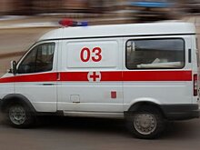 Московские врачи спасли мужчину после укуса паука из пакета с инжиром
