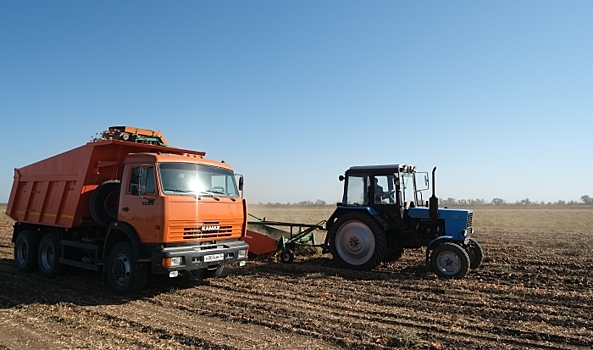 Волгоградцы обсуждают уборку овощей, гибель ребенка в ДТП и дистант в школе