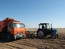Волгоградцы обсуждают уборку овощей, гибель ребенка в ДТП и дистант в школе