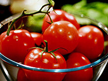 Ученые назвали продукт, способный восстановить легкие курильщика