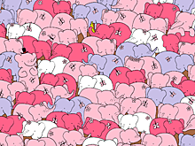 Только 1 человек из 50 может найти на картинке спрятанное сердечко среди слонов