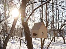 Орнитолог назвал самых уязвимых птиц, которые не выживут без помощи человека