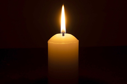 Умерла актриса, модель Playboy и телеведущая Виола Холт