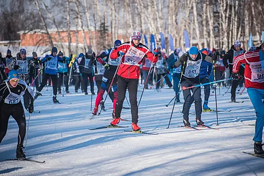 В Новосибирской области нашли замену отмененным чемпионатам мира