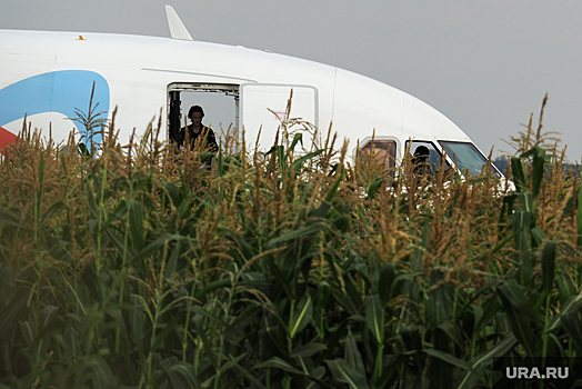 Топлива в самолете «Уральских авиалиний», севшего в поле, было с запасом
