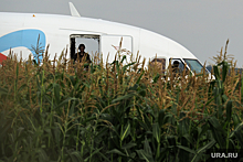 Топлива в самолете «Уральских авиалиний», севшего в поле, было с запасом