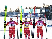 Чемпионат мира по лыжным видам спорта