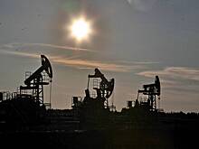 Шансы Трампа подорвать нефтяной экспорт России оценили