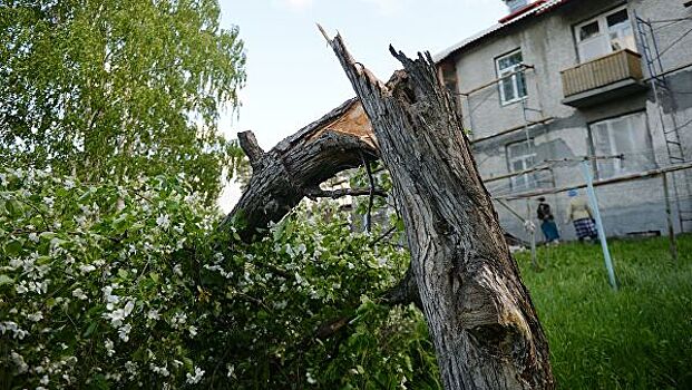 Число погибших из-за урагана в Свердловской области выросло до четырех