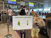 Сколько пассажиров улетело в июне из Домодедово