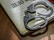 Похищавший китайцев в Петербурге мужчина отделался условным сроком