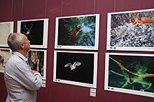 Во Владивостоке открылась выставка работ финалистов Дальневосточного фотоконкурса «Глубина резкости»
