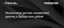 Механизатор растлил семилетнюю девочку в Выборгском районе