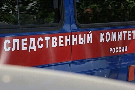 В российском регионе следователи начали проверку массовой драки подростков