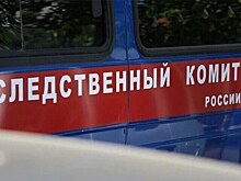 В российском регионе следователи начали проверку массовой драки подростков