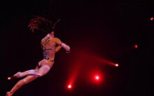 Гимнастка сорвалась с высоты во время исполнения трюка в цирке Новосибирска