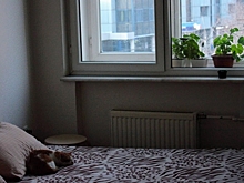 Сомнолог Пучкова рассказала, как победить бессонницу без таблеток