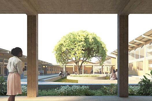 Звезда мировой архитектуры Дэвид Аджайе построит в Гане 101 больницу