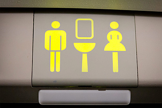 Бортпроводник объяснил опасность туалетов в самолете