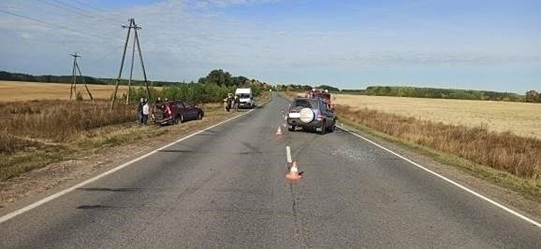 На трассе в Малмыжском районе столкнулись "Митсубиси" и "Шеврале Нива"