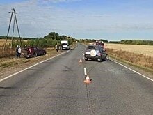 На трассе в Малмыжском районе столкнулись "Митсубиси" и "Шеврале Нива"