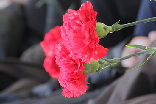 Свыше 2 млн значков «Красная гвоздика» продали в 2016 году в России