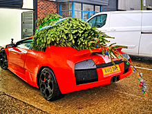 Видео: неудачная реплика Lamborghini доставляет рождественскую ель в фотостудию
