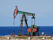 "Зарубежнефть" досрочно погасила €100 млн из кредита ВЭБ