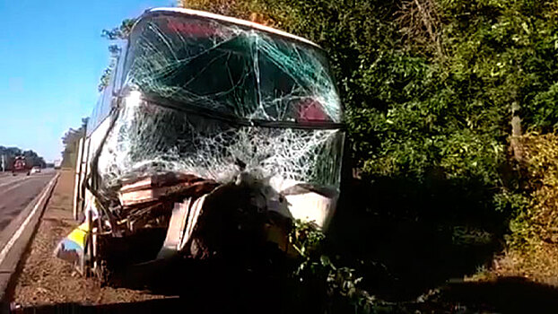 Пассажирский автобус врезался в дерево под Краснодаром: десятки пострадавших