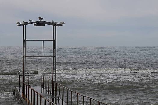 Россиян предупредили об угрожающей Краснодарскому краю опасности