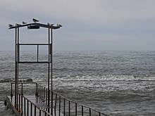 Россиян предупредили об угрожающей Краснодарскому краю опасности