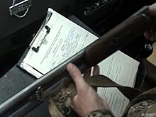 Приморский охотназор признан одним из лучших в России