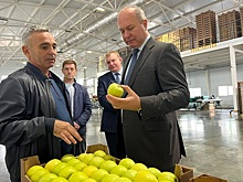 Вторая очередь фруктохранилища мощностью до 2700 т запущена в Куйбышевском районе