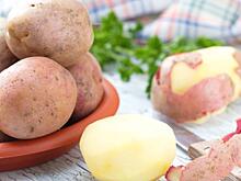Картофель продлевает жизнь