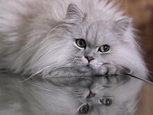 Пришло время узнать, кто в доме хозяин